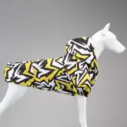 Lindo Crunch Kapüşonlu Köpek Yağmurluğu 2