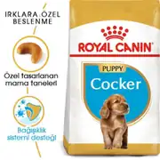 Royal Canin Yavru Cocker Özel Irk Kuru Mama 3 Kg 1
