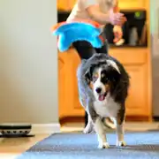 Chuckit! Indoor Squirrel Eve Özel Yumuşak Sincap Frizbi Köpek Oyuncağı 2