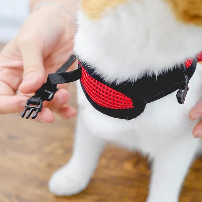Ferplast Jogging Gezdirme Set Göğüs Tasması X Large
