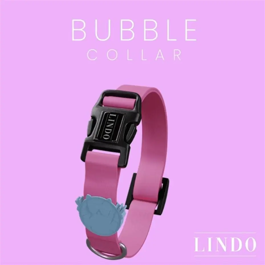 Lindo Bubble Köpek Boyun Tasması Small 30-44cm