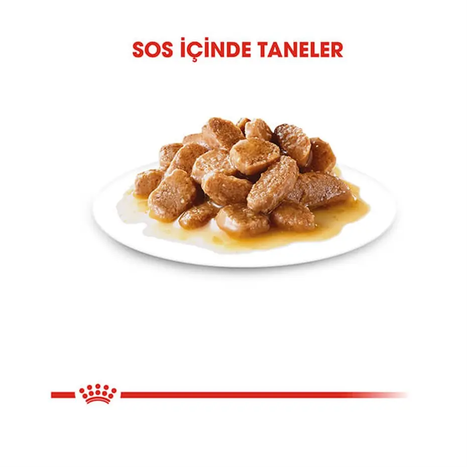 Royal Canin Pouch Mini Adult Köpek Yaş Maması 85 Gr