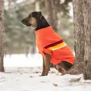 GF PET Retro Köpek Süveteri 2