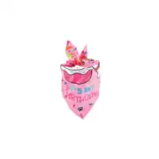 M-PETS Party Time Dişi Köpekler İçin Doğum Günü Seti 8