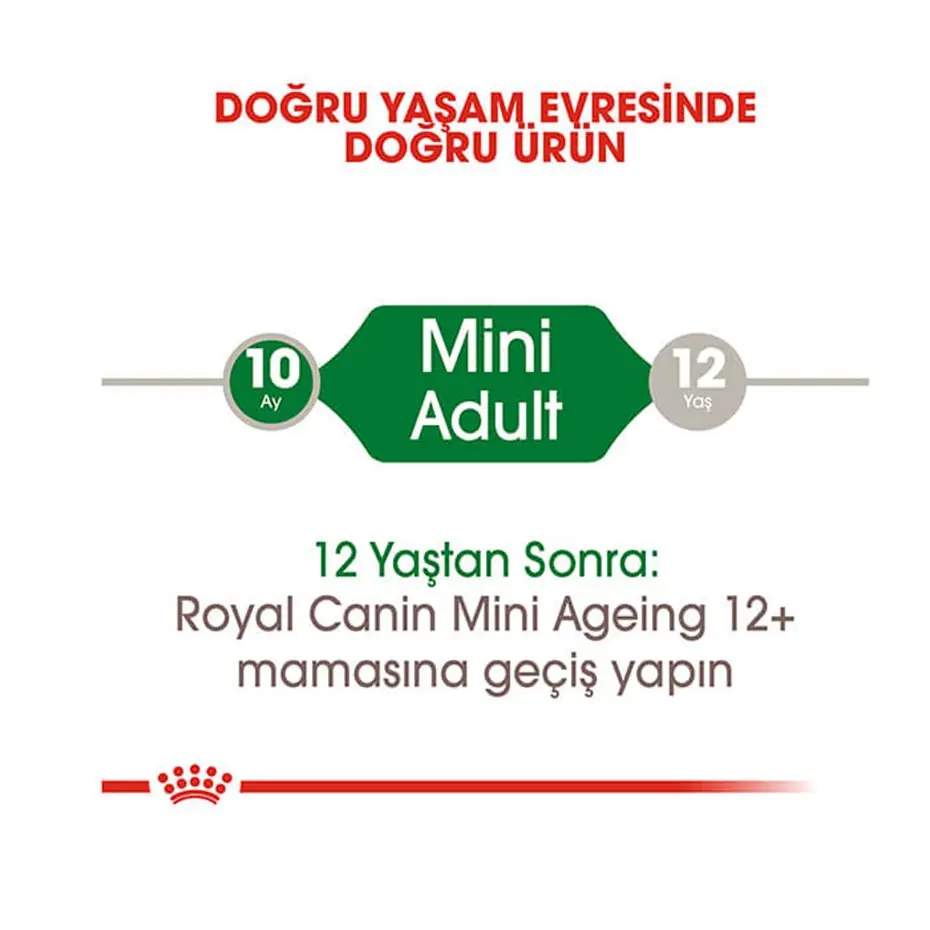 Royal Canin Pouch Mini Adult Köpek Yaş Maması 85 Gr