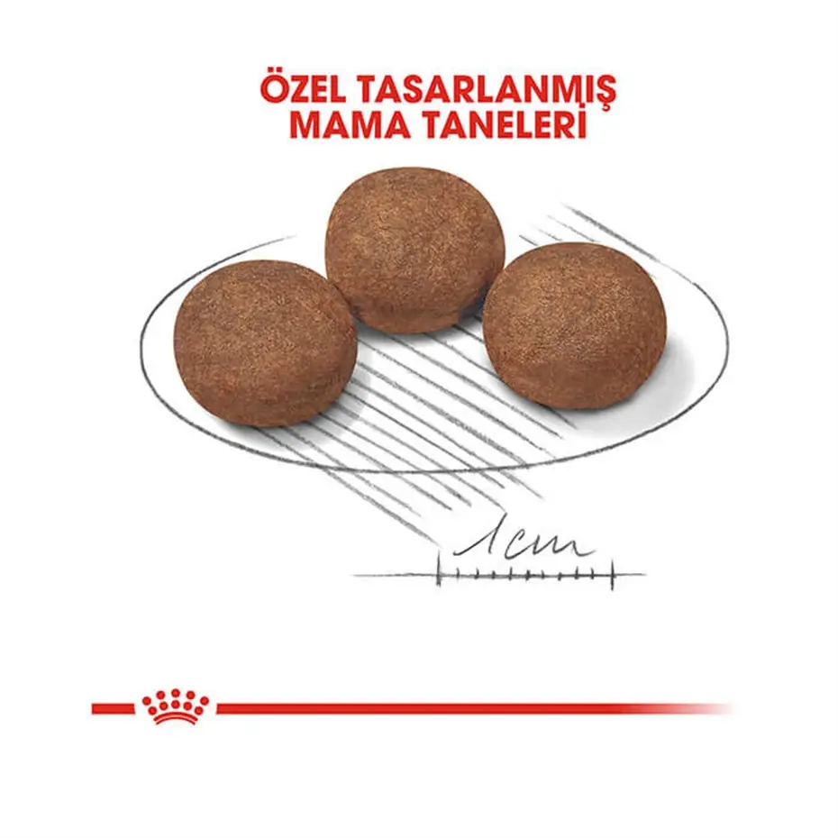 Royal Canin Medium Puppy Orta Irk Yavru Köpek Maması 15 Kg
