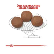 Royal Canin Medium Puppy Orta Irk Yavru Köpek Maması 15 Kg 2