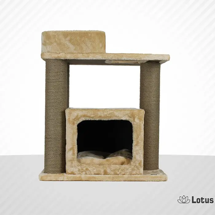 Lotus Vilnius Bal Rengi Kedi Tırmalama