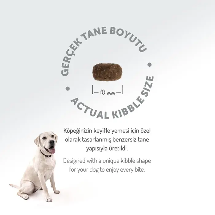 Felicia HypoAllergenic Kuzulu Pirinçli Küçük Irk Düşük Tahıllı Yetişkin Köpek Maması 6 Kg