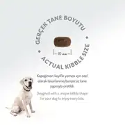 Felicia HypoAllergenic Kuzulu Pirinçli Küçük Irk Düşük Tahıllı Yetişkin Köpek Maması 6 Kg 7