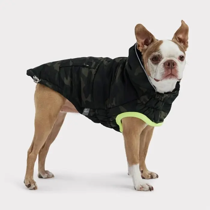 GF Pet Kamuflaj Köpek Montu