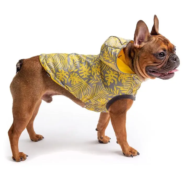 GF PET Çift Taraflı Giydirilebilen Köpek Yağmurluğu