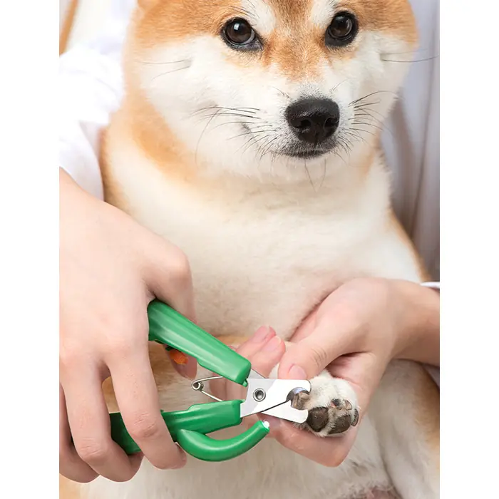 Pakeway Kaktüs Serisi Led Lambalı Köpek Tırnak Makası Sarı