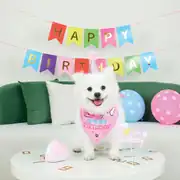 M-PETS Party Time Dişi Köpekler İçin Doğum Günü Seti 1