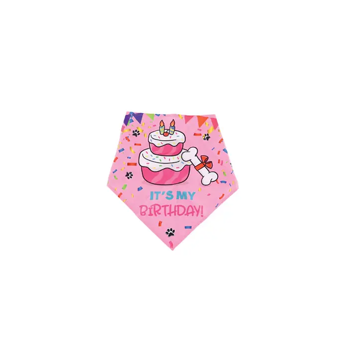 M-PETS Party Time Dişi Köpekler İçin Doğum Günü Seti