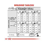 Royal Canin Ccn Mini Exigent Yetişkin Köpek Maması 3 Kg 5