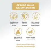 Felicia Az Tahıllı Yetişkin Somonlu Medium Large Breed HypoAllergenic Köpek Maması 15 Kg 5