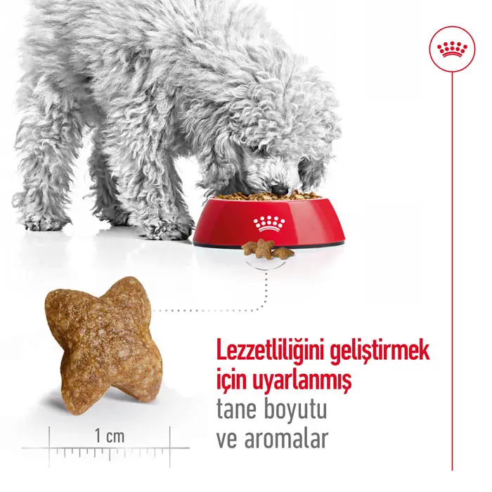 Royal Canin Mini Adult Küçük Irk Köpek Maması 8 Kg