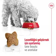 Royal Canin Mini Adult Küçük Irk Köpek Maması 8 Kg 7