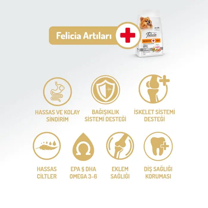 Felicia Az Tahıllı Yetişkin Somonlu Small HypoAllergenic Köpek Maması 3 Kg