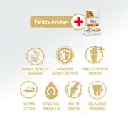 Felicia Az Tahıllı Yetişkin Somonlu Small HypoAllergenic Köpek Maması 3 Kg 4