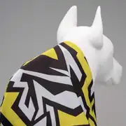 Lindo Crunch Kapüşonlu Köpek Yağmurluğu 3