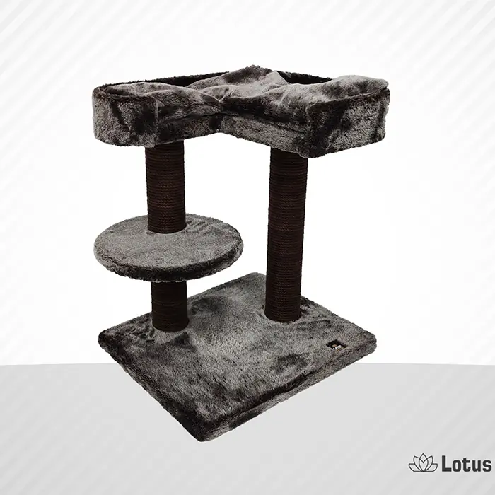 Lotus Padua Kahverengi Kedi Tırmalama