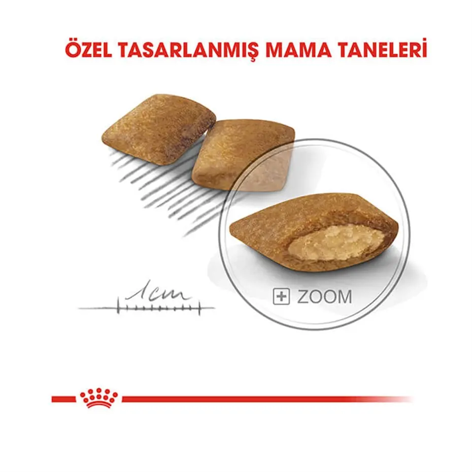 Royal Canin Ccn Mini Exigent Yetişkin Köpek Maması 3 Kg