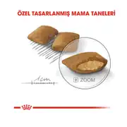 Royal Canin Ccn Mini Exigent Yetişkin Köpek Maması 3 Kg 2