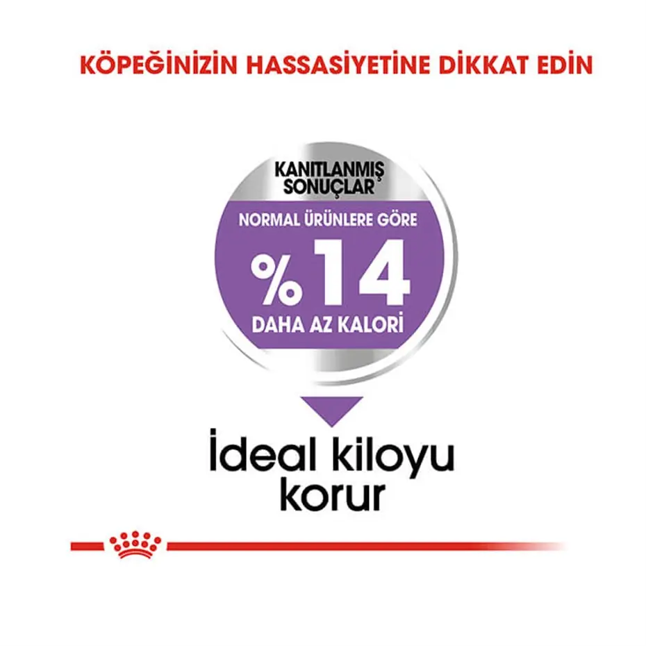 Royal Canin Ccn Mini Sterilised Yetişkin Köpek Maması 3 Kg