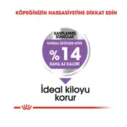 Royal Canin Ccn Mini Sterilised Yetişkin Köpek Maması 3 Kg 4