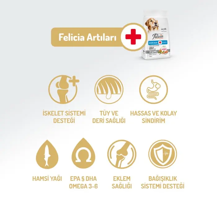 Felicia Az Tahıllı Yetişkin Somonlu Medium Large Breed HypoAllergenic Köpek Maması 15 Kg
