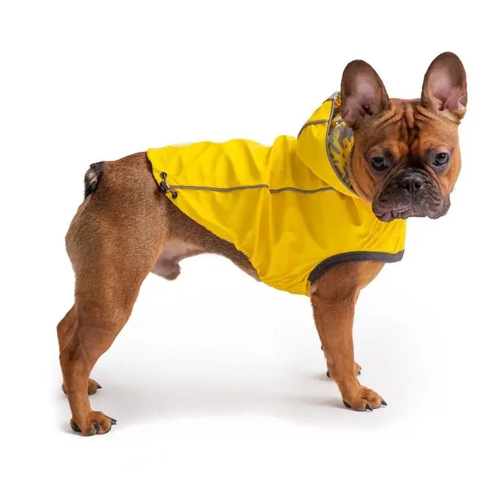 GF PET Çift Taraflı Giydirilebilen Köpek Yağmurluğu