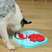 M-PETS Brainy Galileo Puzzle Köpek Zeka Oyuncağı 3.Seviye 1
