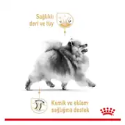 Royal Canin Pomeranian Yetişkin Köpek Maması 1,5 Kg 3