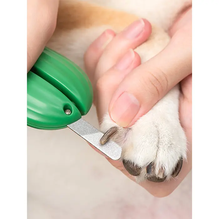Pakeway Kaktüs Serisi Led Lambalı Köpek Tırnak Makası Yeşil