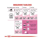 Royal Canin Kitten Yavru Kedi Maması 2 Kg 6 Adet 5