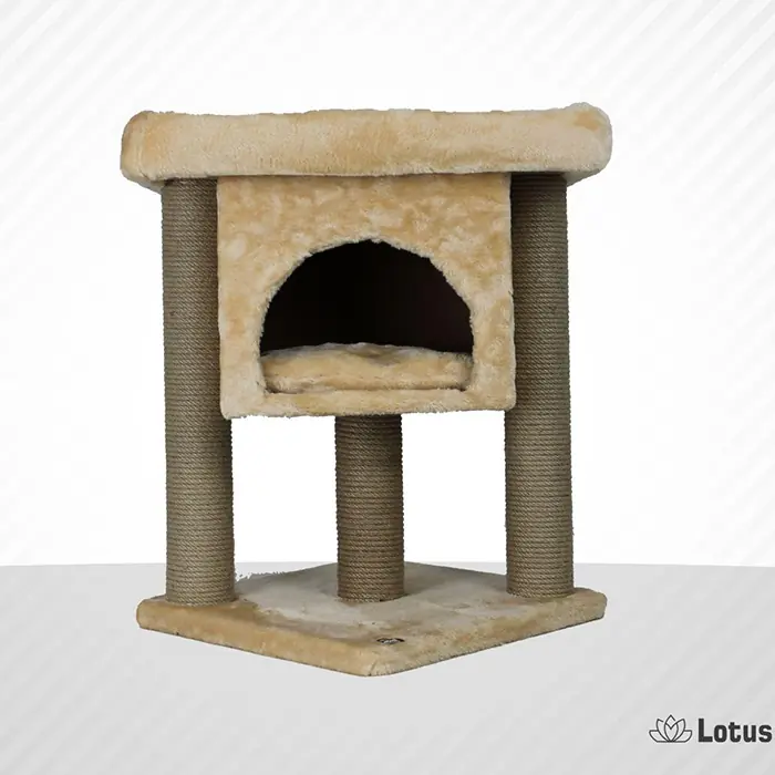 Lotus İzmir Bal Rengi Kedi Tırmalama