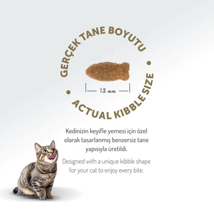 Felicia Az Tahıllı Yetişkin Somonlu HypoAllergenic Kedi Maması 12 Kg