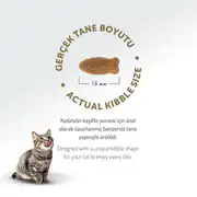 Felicia Az Tahıllı Yetişkin Somonlu HypoAllergenic Kedi Maması 12 Kg 8