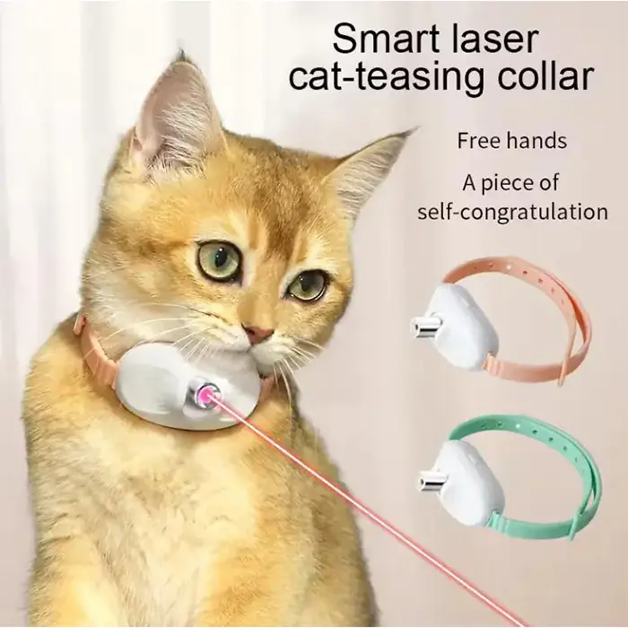 Zampa Şarjlı Lazerli Kedi Tasması 10cm
