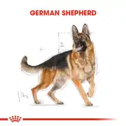 Royal Canin German Shepherd Yetişkin Köpek Maması 11 Kg 7