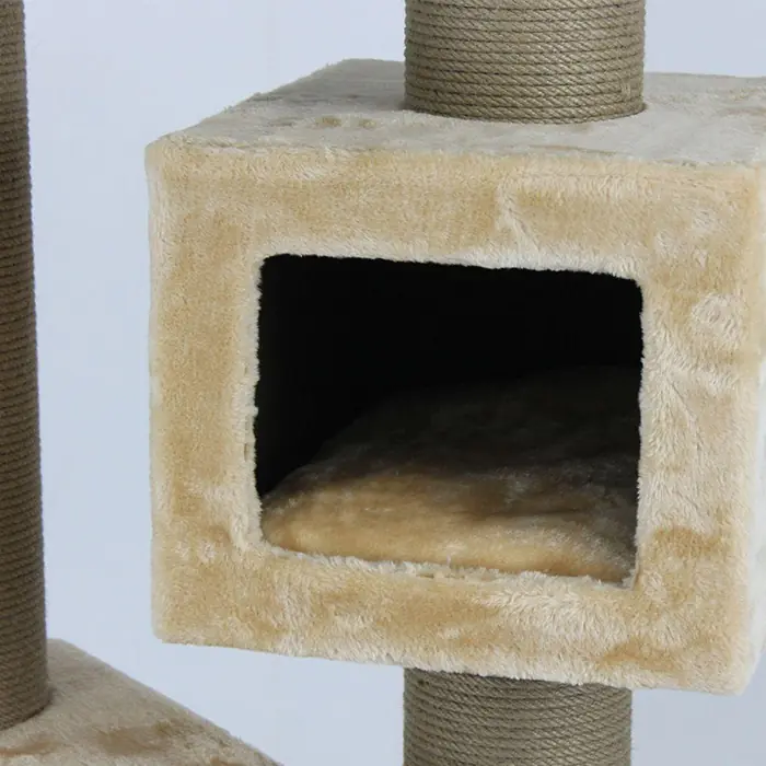 Lotus Toulouse Bal Rengi Kedi Tırmalama