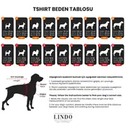 Lindo Funny Skull Tshirt - Köpek Tişörtü 4
