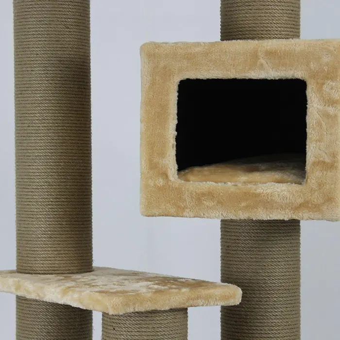 Lotus Toulouse Bal Rengi Kedi Tırmalama