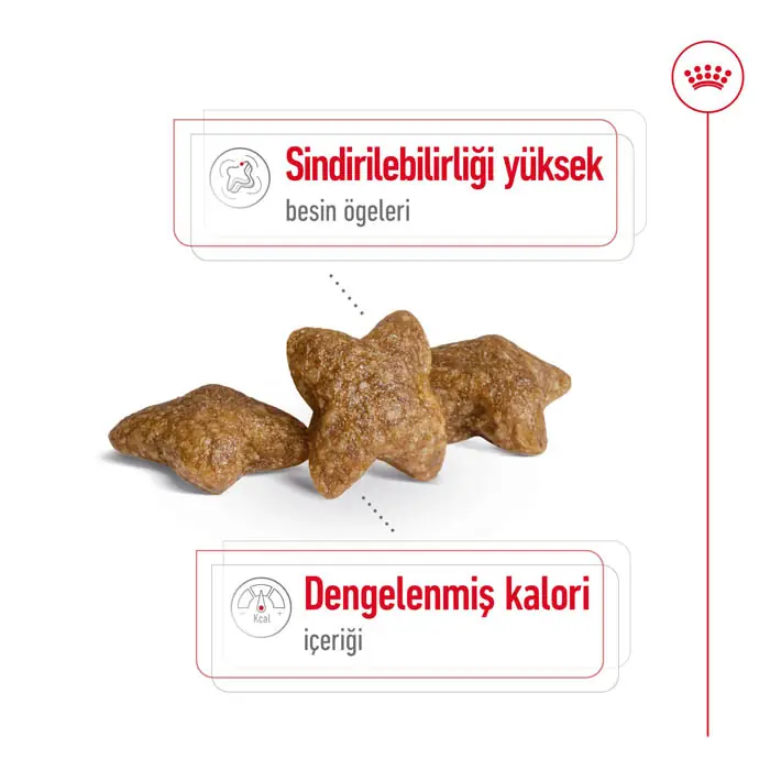 Royal Canin Mini Adult Küçük Irk Köpek Maması 8 Kg