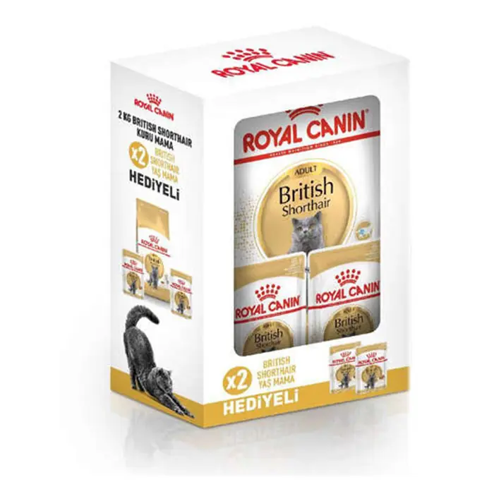 Royal Canin BOX British Shorthair Kedi Maması 2 Kg + 2 Adet Royal Canin Yaş Mama
