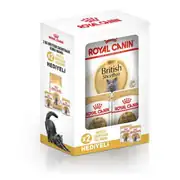 Royal Canin BOX British Shorthair Kedi Maması 2 Kg + 2 Adet Royal Canin Yaş Mama 1