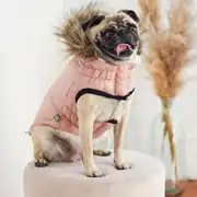 GF PET Urban Parka Köpek Montu 1
