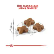 Royal Canin Kitten Yavru Kedi Maması 4 Kg 2